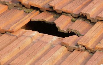 roof repair Robin Hood